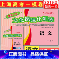 [正版]2019版领先一步语文 上海高考语文一模卷 试卷+答案 文化课强化训练 上海市各区高三第一学期期末质量抽查试卷