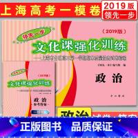 [正版]2019版领先一步政治 上海高考政治一模卷 试卷+答案 文化课强化训练 上海市各区高三第一学期期末质量抽查试卷