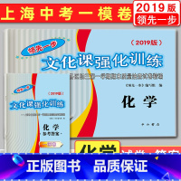 [正版] 2019版领先一步上海中考一模卷化学 试卷+答案 文化课强化训练 上海市各区初三第一学期期末质量抽查试卷