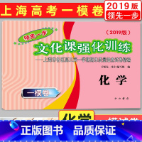 [正版]2019版 领先一步化学 上海高考化学一模卷 仅试卷文化课强化训练 上海市各区高三第一学期期末质量抽查试卷精编