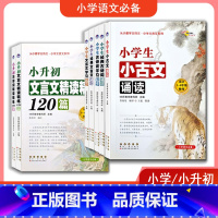 小升初古诗词精读精练200首(3-6年级) 小学通用 [正版]小学生经典古诗词文言文诵读学习起步小升初精读精练120篇2