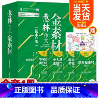 意林 初中作文金素材 (赠思维导图)(全4册) [正版]宝藏兄弟团意林作文金素材小学初中高中4.0版小学生初中生七八九年