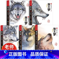 [全5册]沈石溪画本•狼王梦 [正版]5册狼王梦 沈石溪动物小说大王狼王梦画本珍藏版完整版漫画版小学生三四五六年级课外书