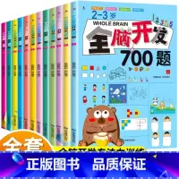 [2-6岁]全12册 全脑开发1000题+700题 [正版]全脑开发700题1000题2-4-6岁早教书幼儿园智力数学小