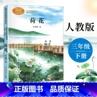 荷花 [正版]荷花 叶圣陶著 课文作家作品系列 三年级下册小学语文课内外拓展阅读经典文学名作儿童文学学生拓展阅读课外书