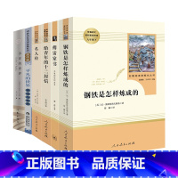 八年级下必读选读书全6册 [正版]八年级下必读书傅雷家书钢铁是怎样炼成的全套人教版 初二下学期必读书苏菲的世界给青年的十