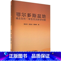 [正版]鄂尔多斯盆地晚古生代-中生代沉积学分析 密文天 自然科学书籍