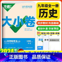 历史 九年级/初中三年级 [正版]2024万唯中考大小卷九年级历史人教版 初三九上下册同步训练试卷练习册黑马卷白鸥卷初中