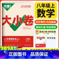 数学 八年级上 [正版]2024万唯中考大小卷八年级上册数学北师版 初二八上同步训练试卷练习册黑马卷白鸥卷初中8年级单元