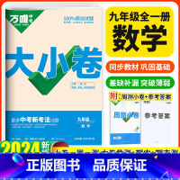 数学 九年级/初中三年级 [正版]2024大小卷九年级上册数学人教版 初三九上同步训练试卷练习册黑马卷白鸥卷初中9年级单