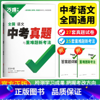 语文 九年级/初中三年级 [正版]2024新版万唯中考真题子母卷全国中考真题汇编精选语文试卷万维中考语文真题分类试卷九年