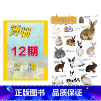 博物1年订阅(2024.1-2024.12) [正版]202301+海报兔子 博物杂志2023年1月刊+兔子海报 博物杂