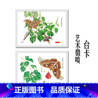 乌桕与乌桕大蚕蛾博物画台卡 [正版]乌桕与乌桕大蚕蛾博物画台卡 博物自然手绘科学绘画作品