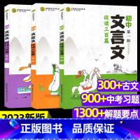 新版:文言文促读300篇[全3册] 初中通用 [正版]新版文言文促读300篇三百篇 初中123辑3本套装 小规律小启迪小