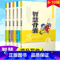 智慧背囊经典版(全5册) 初中通用 [正版]备考2023智慧背囊精华版全套初中高中生版作文素材大全集小学生高年级语文写作