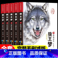 沈石溪画本●狼王梦[全5册]完整版 [正版]狼王梦沈石溪动物小说系列全本全集5册完整珍藏版三四五六345-6年级小学生课