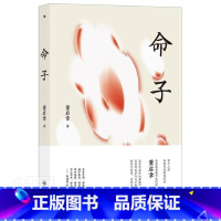 [正版] 命子9787522502847 董启章九州出版社图书中国文学当代文学作品综合集普通大众书籍