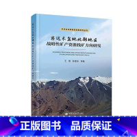 [正版]柴达木盆地北部地区战略矿产资源找矿方向研究王瑾 自然科学书籍