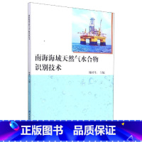 [正版]南海海域天然气水合物识别技术鲍祥生普通大众南海天然气水合物识别自然科学书籍