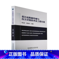 [正版]泥石流数据传输与自主识别技术及工程实践韩运忠 自然科学书籍