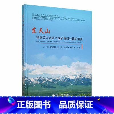 [正版]东天山铁铜等大宗矿产成矿规律与找矿预测冯京 自然科学书籍