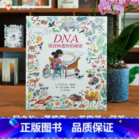 单本全册 [正版]信谊图书DNA 基因和遗传的秘密绘本生命科普绘本第三部 3-6-7-8周岁儿童科学故事 幼儿科普大百科