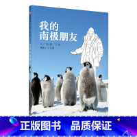 我的南极朋友 [正版]信谊图书我的南极朋友小学暑期阅读书目幼儿亲子阅读绘本故事图画书6岁以上儿童绘本科普百科动物知识