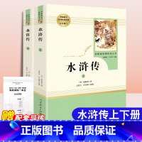 [九年级上册/人教版]水浒传 初中通用 [正版]昆虫记朝花夕拾西游记艾青诗选水浒传红星照耀中国初中生七年级八九年级上下册