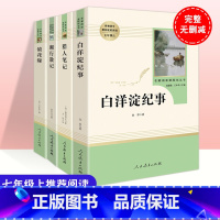 全套四本七年级阅读课外书 [正版]送导练考点手册全套四本镜花缘湘行散记猎人笔记白洋淀记事人民教育出版社统编语文课文配套阅