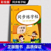 [正版]一年级上册同步字帖练字帖人教版 1年级上册语文写字课课练每日一练 小学生临摹字帖上学期生字抄写本笔顺笔画控笔训