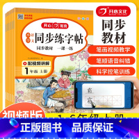 上册]同步练字帖 小学一年级 [正版]2023秋新一二三四五六年级上册同步练字帖人教版语文小学生字帖练字本描红楷书楷体控