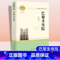 巴黎圣母院 [正版](南方社)名著阅读课程化丛书--(高中)巴黎圣母院