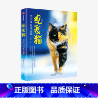 [正版]观复猫 书中自有黄金猫 马未都著 MOOK系列 图书期刊杂志