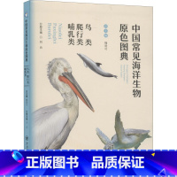 [正版]中国常见海洋生物原色图典 鸟类 爬行类 哺乳类 魏建功,刘云 编 少儿科普 少儿 中国海洋大学出版社 图书