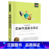 爱丽丝漫游奇境记 [正版]全套4册骑鹅旅行记六年级必读的课外书下册原著鲁滨逊漂流记爱丽丝漫游奇境记汤姆索亚历险记快乐读书