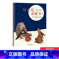 什么是圣诞节 [正版]什么是圣诞节硬壳精装图画书蒲蒲兰圣诞节主题绘本1-2-3-4-5岁亲子阅读幼儿启蒙系列童书