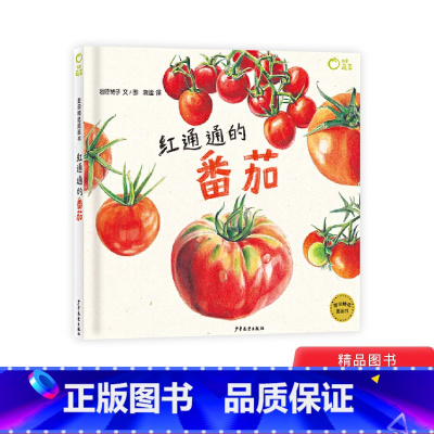 红通通的番茄 [正版]红通通的番茄绘本图画书 我爱蔬菜3岁4岁5岁6岁亲子共读孩子的高颜值蔬菜科普书麦田精选图画书少年儿