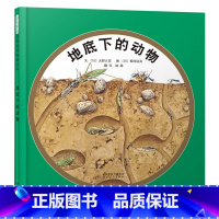 地底下的动物 [正版]地底下的动物硬壳精装图画书启发绘本4岁以上亲子共读童书