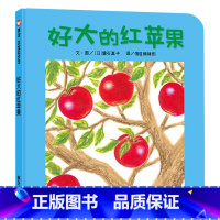 单本全册 [正版]好大的红苹果纸板书信谊绘本图画书宝宝起步走0到3岁幼儿启蒙早教图画书童书