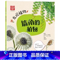 发现植物 墙角的植物 [正版]发现植物墙角的植物平装科普植物图画书3岁以上阅读中国自然发现类图书给中国的孩子少年儿童出版