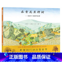 单本全册 [正版]在肯尼亚种树旺加里马塔伊的故事硬壳精装蒲蒲兰绘本关于环保主题适合4岁以上亲子课外阅读书籍童书