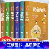 [正版]中医书籍大全中医六大名著全6册黄帝内经全集本草纲目原版全套中医基础理论皇帝内经中医金匮要略伤寒论 张仲景医学类