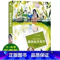 [正版]鼹鼠的月亮河三年级王一梅著新蕾出版社儿童文学故事小学生四五六年级6-8-9-10-15岁读书目中国经典童话书籍