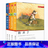 [正版]国际大奖小说--国际安徒生奖共4册含 狗来了 神秘的公寓 金龟虫在黄昏飞起 企鹅的故事新蕾出版社儿童文学学生课