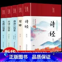 [正版]全5本 唐诗三百首全集宋词300首元曲三百首原著诗经楚辞全集 布面精装彩绘版中国古诗词初高中学生唐诗宋词注解赏