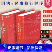 [正版] 2本套刑法注释书+民事执行程序注释书中华人民共和国刑法司法解释指导案例刑事审判参考公报案例刑法条文书