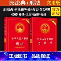 [正版]2023适用新中华人民共和国民法典+刑法/全2册婚姻合同侵权法条刑法司法解释法条法律法规单行本法律规定基础知识