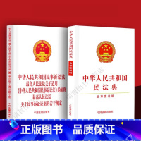 [正版]中华人民共和国民法典民事诉讼法人民法院关于适用民事诉讼法的解释关于民事诉讼证据若干规定司法解释法律法规三合一