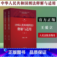 [正版] 中华人民共和国刑法 释解与适用 刑法修正案十一 刑法典2版新版中华人民共和国刑法司法解释 刑法解读人民法院出