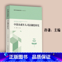 [正版]中国未成年人司法制度研究 孙谦 中国检察出版社 9787510226007